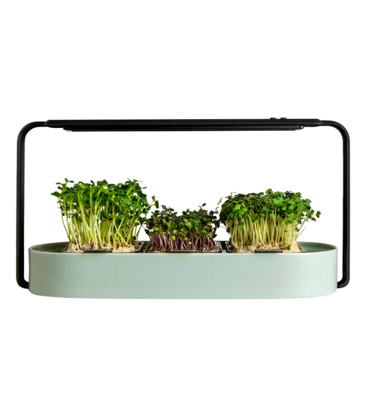 Microgreens Kit with Grow Light - Ingarden